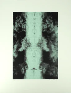 Sigmar Polke (1941-2010) - Spiegelungen I