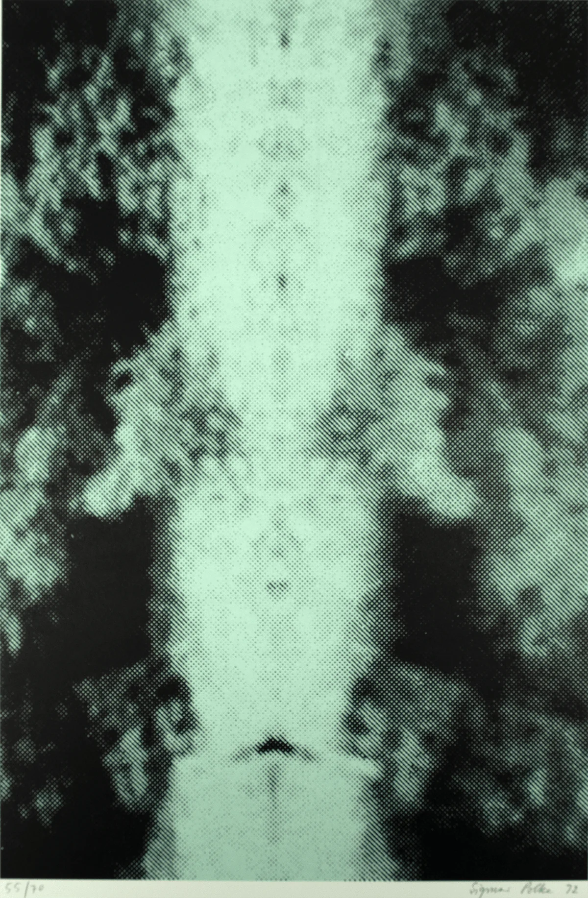 FormaArte20 – Detail van de zeefdruk Spiegelungen I van Sigmar Polke